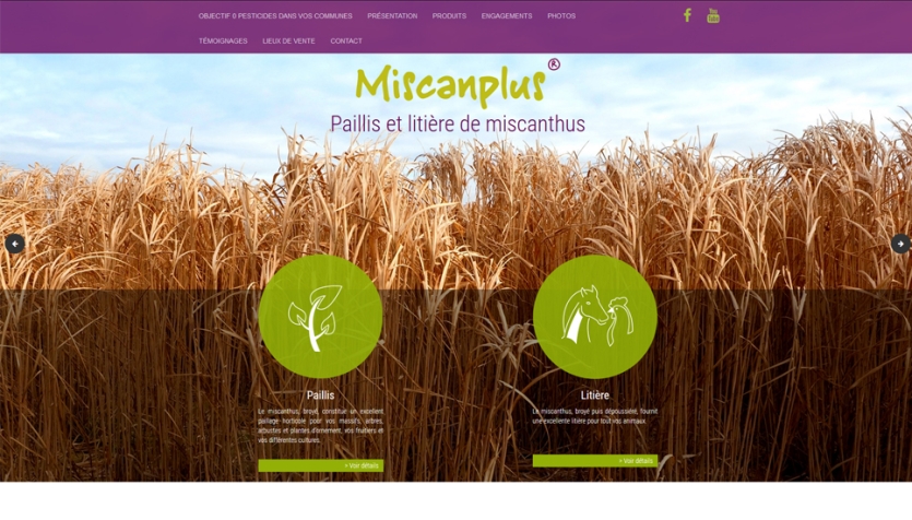 MISCANPLUS - Vente de Miscanthus